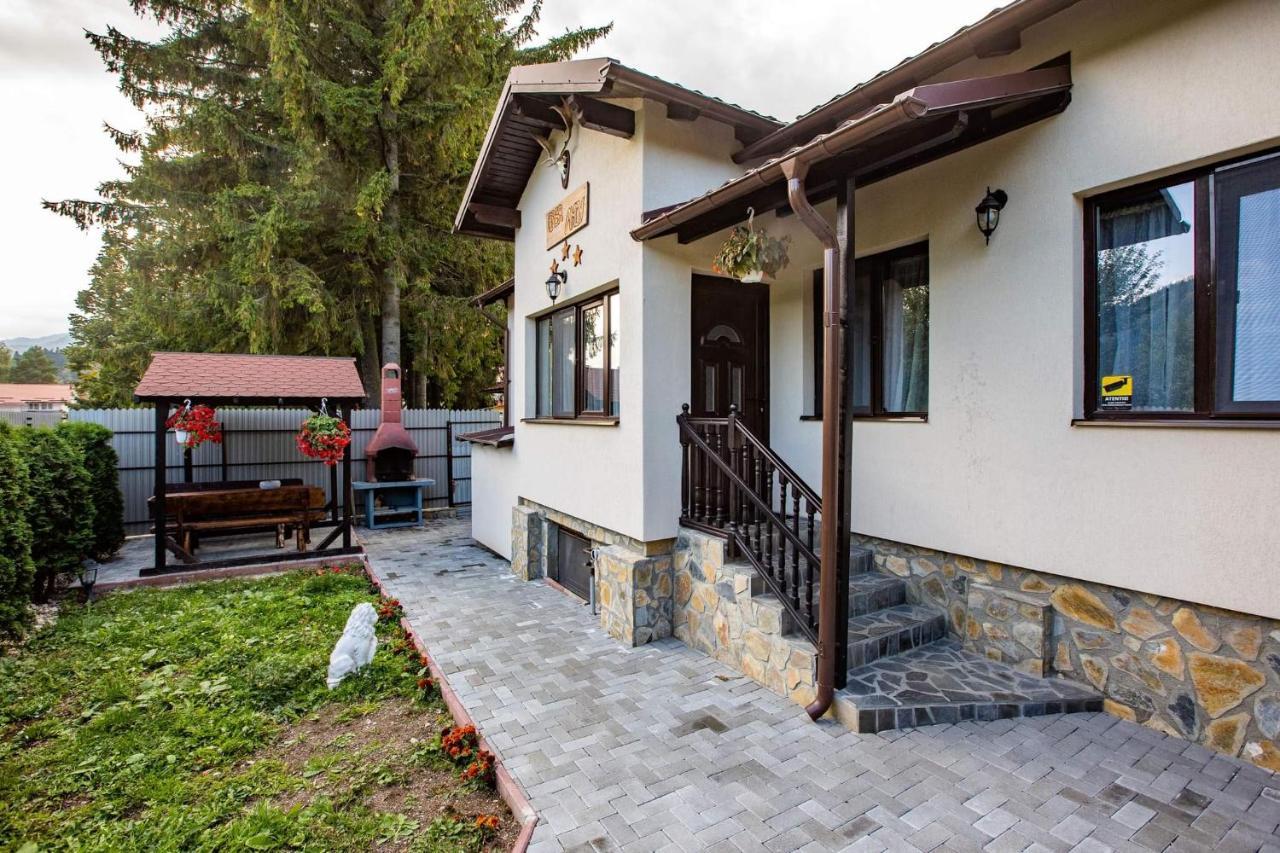 Casa Andy Hotell Buşteni Eksteriør bilde